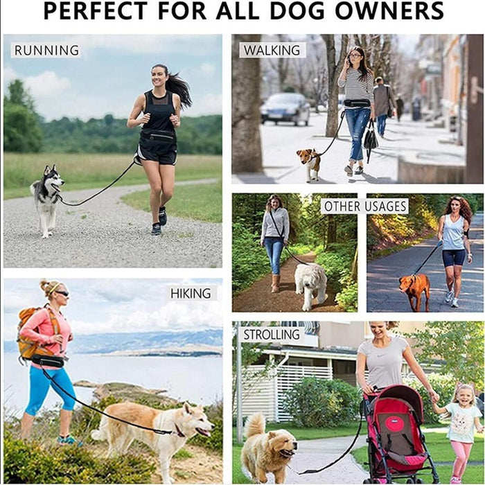Hands Free Dog Leash Pet Walking And Training Belt With Shock Absorbing Bungee