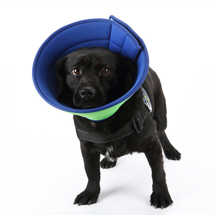 Medical Recovery Collars Pets Protection