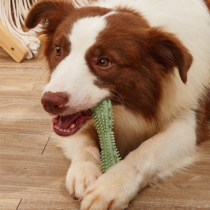 Chew Toys For Dog Teeth