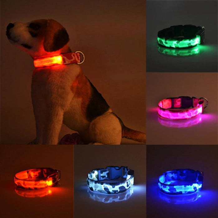Luminous Pet Collar
