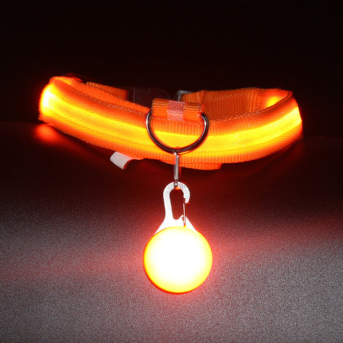 Dog Collar Luminous