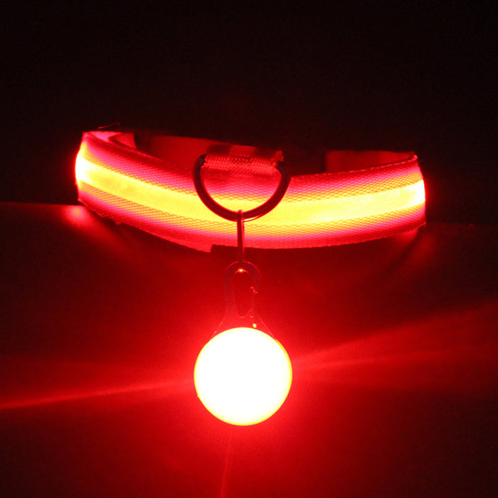 Dog Collar Luminous