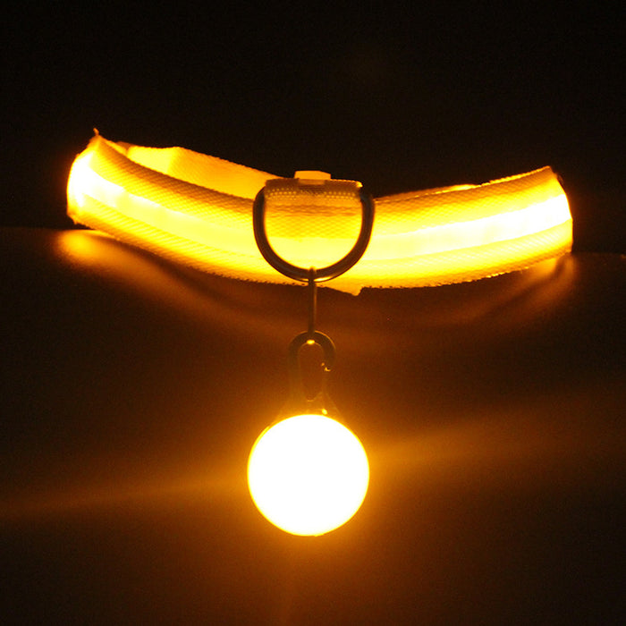 Dog Collar Luminous