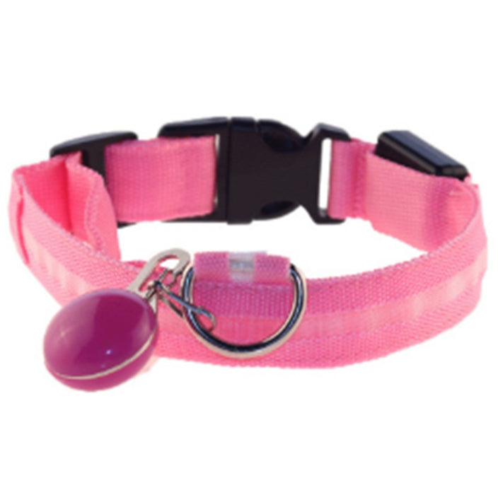 Dog Collar Luminous