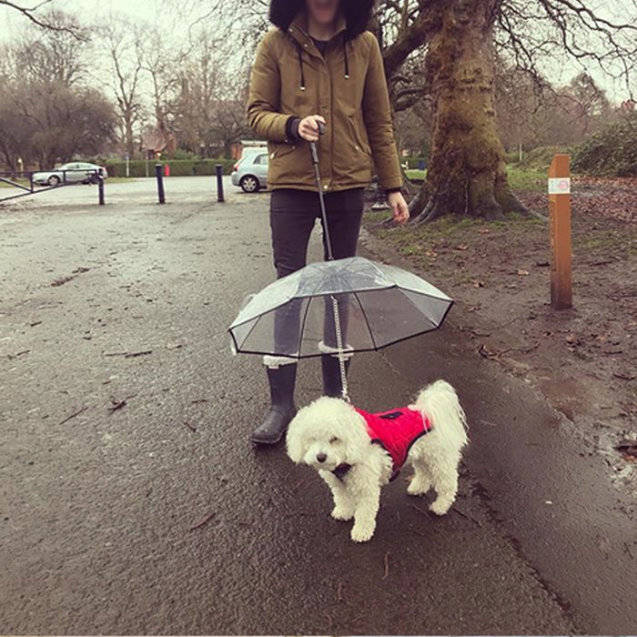 Dog Transparent Removable Umbrella With Traction Chain