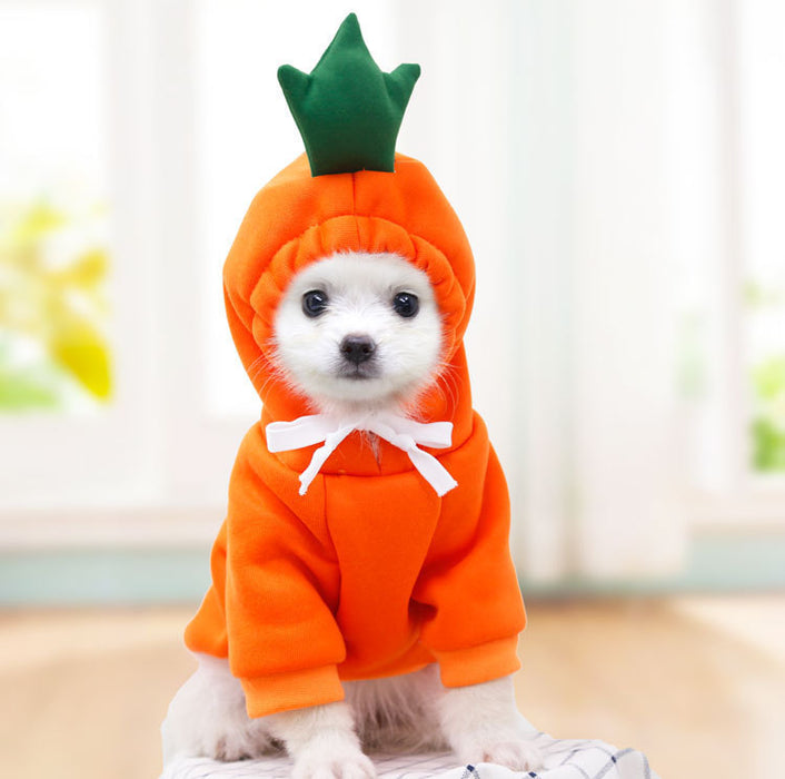Cute Fruit Dog Fleece Clothes For Small Dogs Hoodies Winter Warm