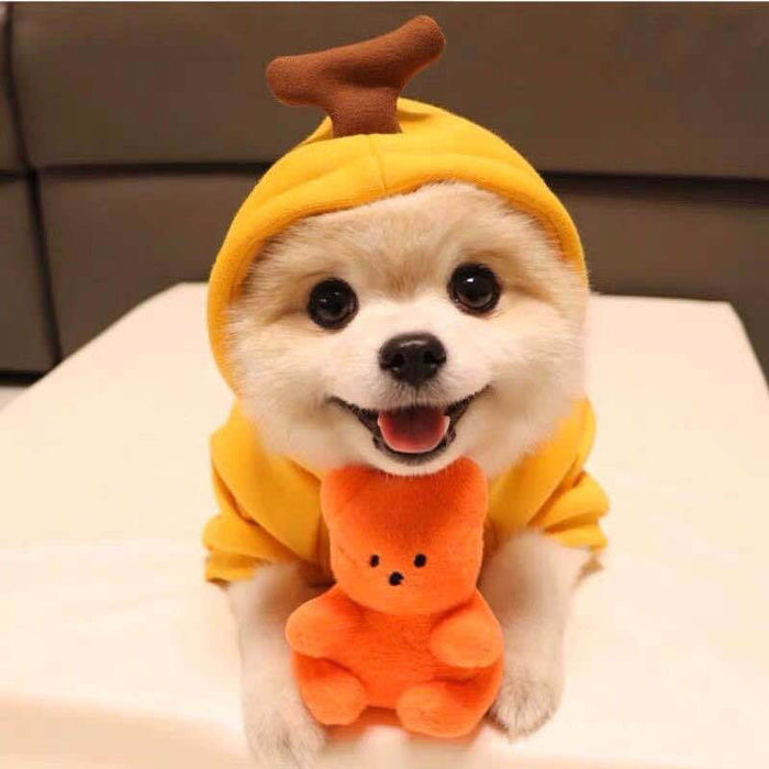 Cute Fruit Dog Fleece Clothes For Small Dogs Hoodies Winter Warm