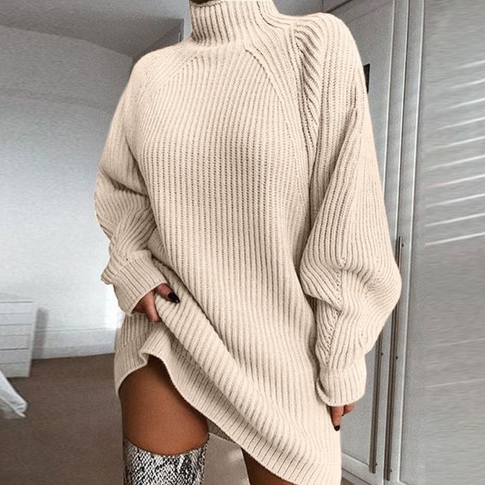 Solid Turtleneck Sweater
