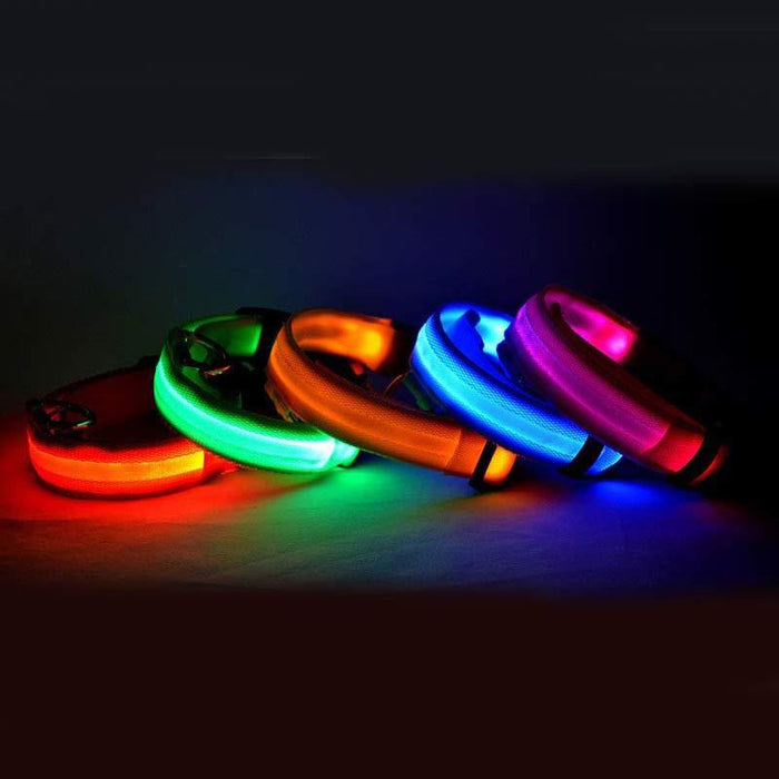 Nylon LED Pet Dog Luminous Collar Glow in Dark