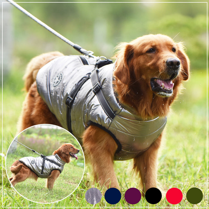Waterproof & Winter Dog jacket With Harness