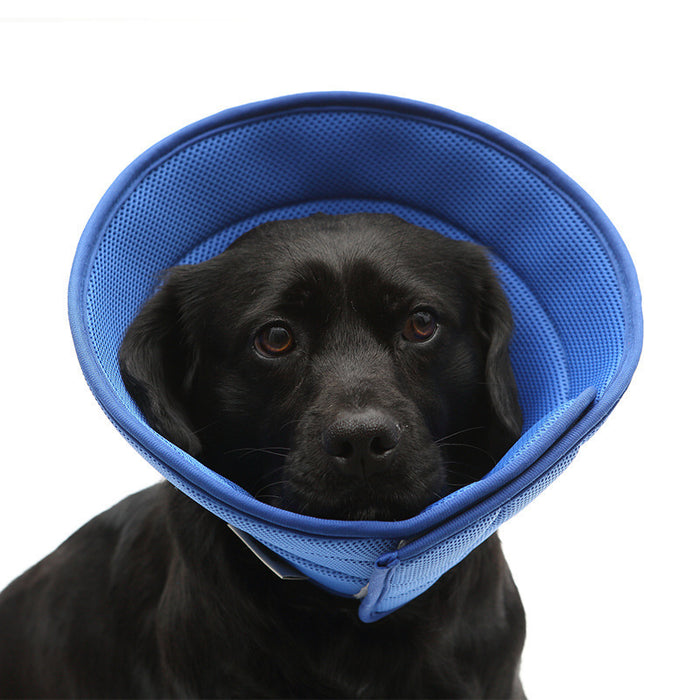 Medical Recovery Collars Pets Protection