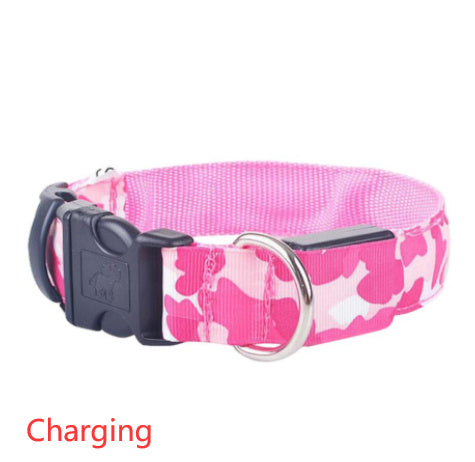 Luminous Pet Collar