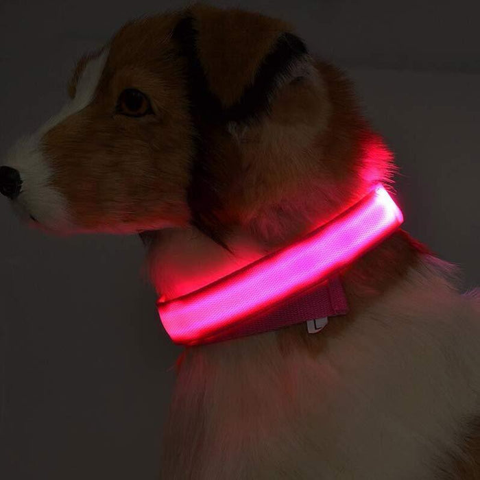 Nylon LED Pet Dog Luminous Collar Glow in Dark