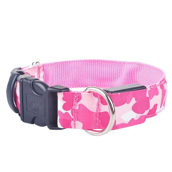 Luminous Pet Collar