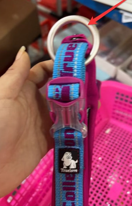 Dog Collar