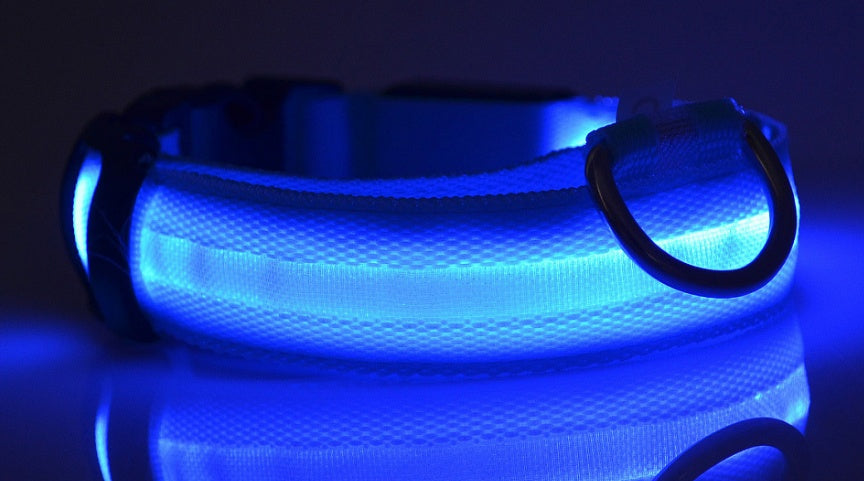 Nylon LED Pet Dog Luminous Collar Glow in Dark