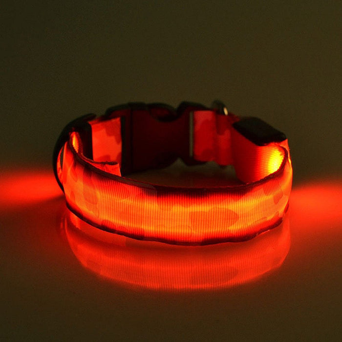 Luminous Pet Collar