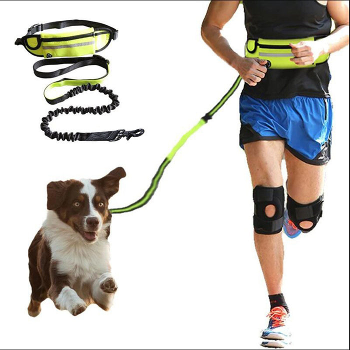 Hands Free Dog Leash Pet Walking And Training Belt With Shock Absorbing Bungee