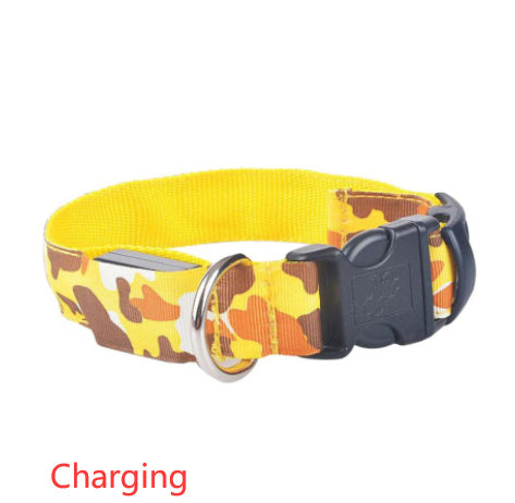 Luminous Pet Collar