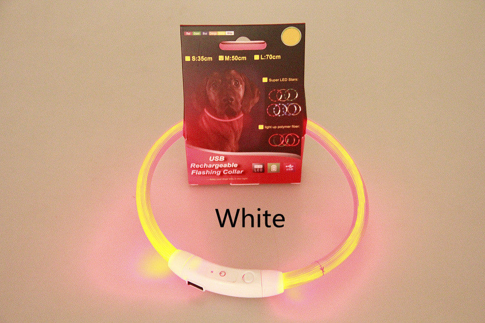 Pet Flashing Collar USB Rechargeable Glowing Safety Collar