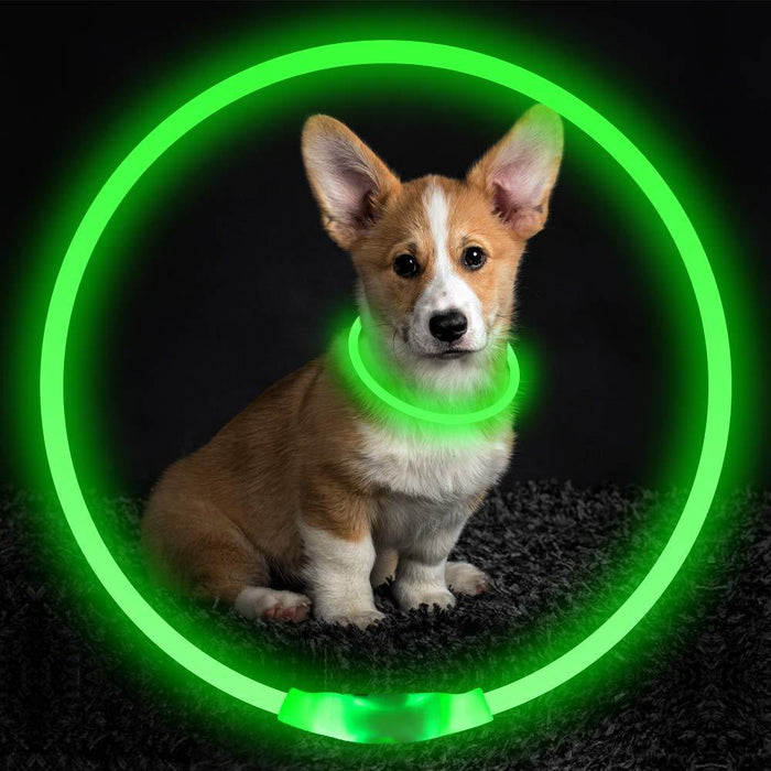 Pet Flashing Collar USB Rechargeable Glowing Safety Collar