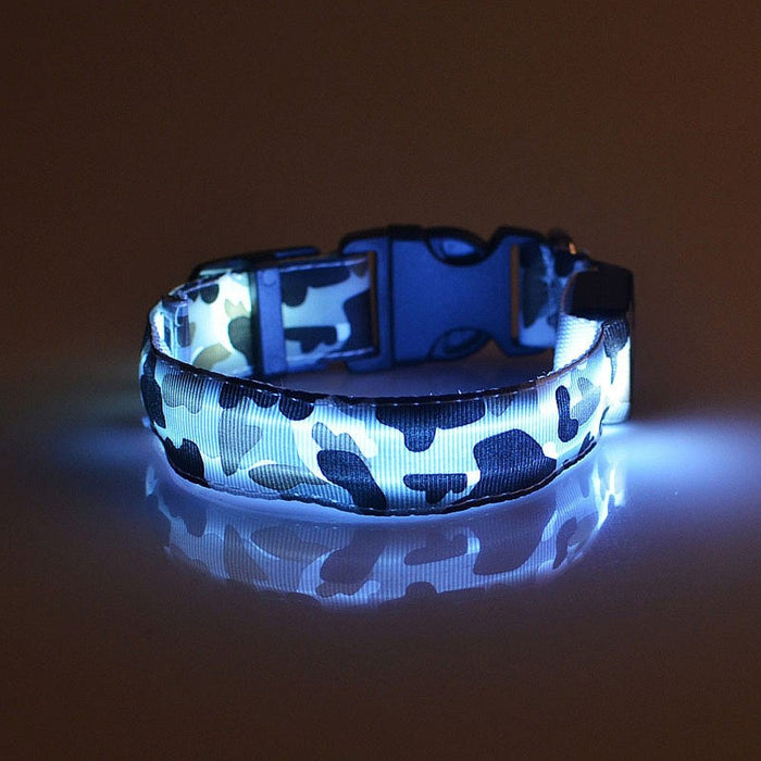Luminous Pet Collar