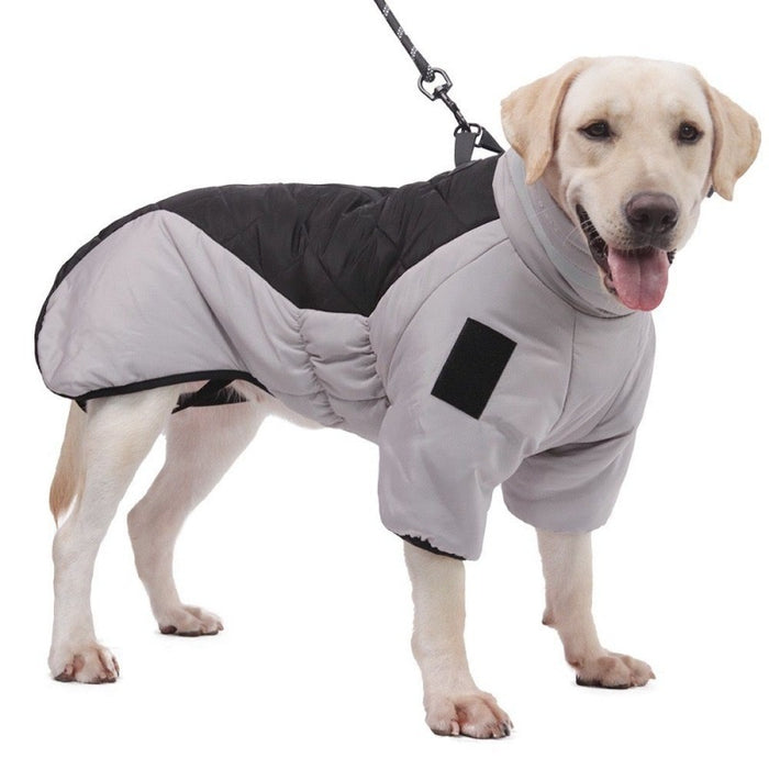 Dog Waterproof Padded Winter Jacket