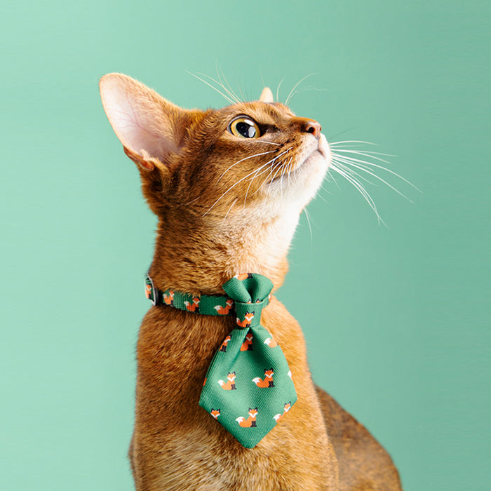 Adjustable Tie Pet Collar