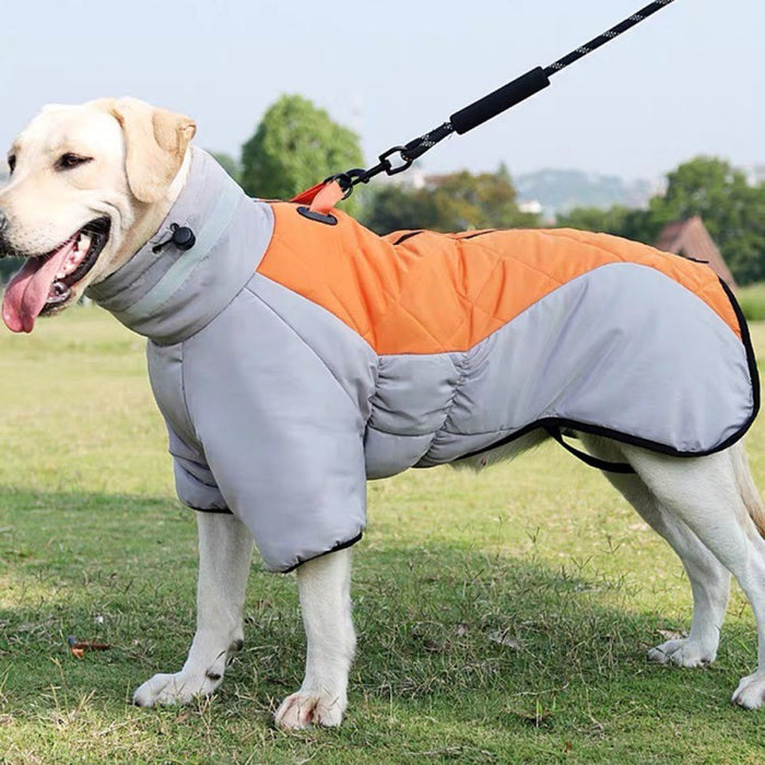 Dog Waterproof Padded Winter Jacket