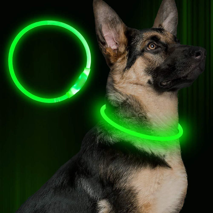 Pet Flashing Collar USB Rechargeable Glowing Safety Collar