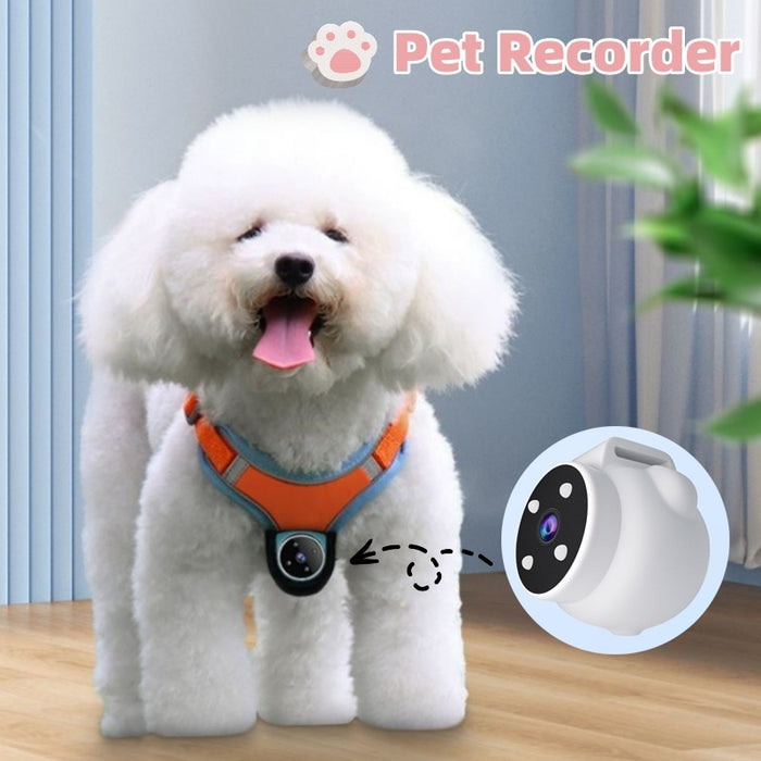 HD Cat Collar Camera - Pet Tracker, GPS, Motion Recorder, Action Cam
