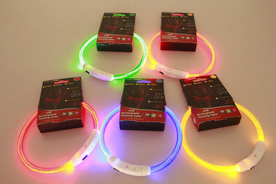 Pet Flashing Collar USB Rechargeable Glowing Safety Collar