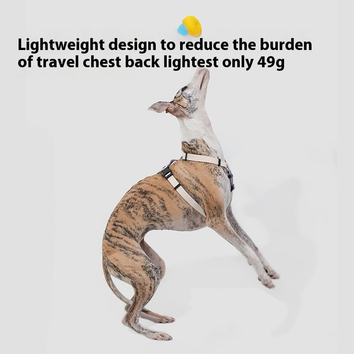 Pet Harness I Shaped