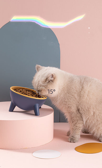 Pet Food Bowl With Stand