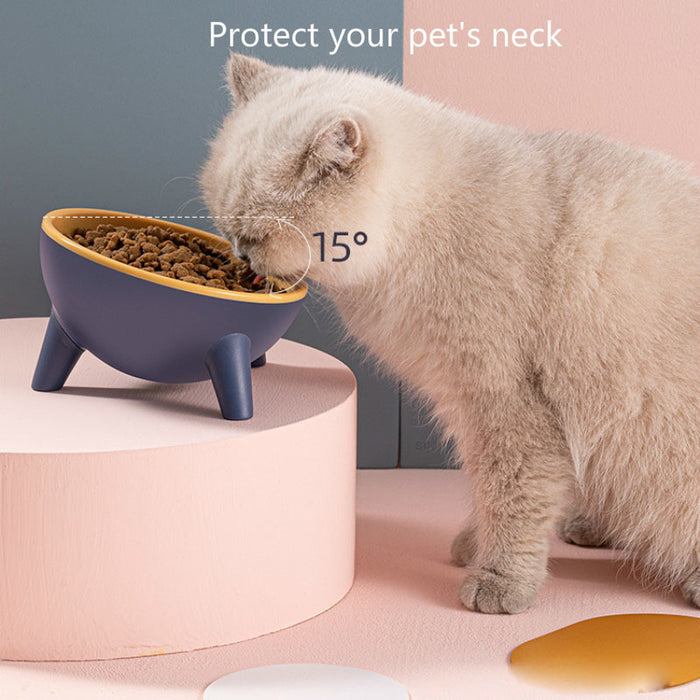 Pet Food Bowl With Stand