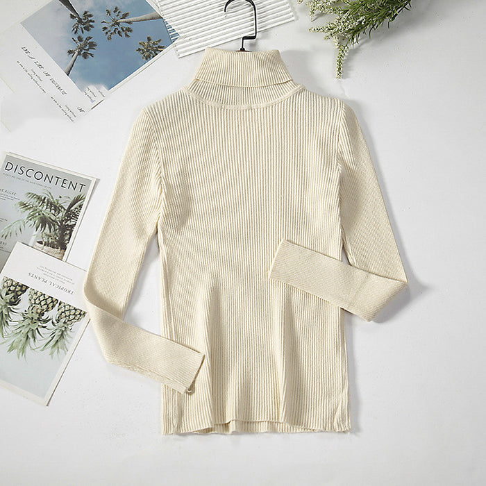 Turtleneck Sweater