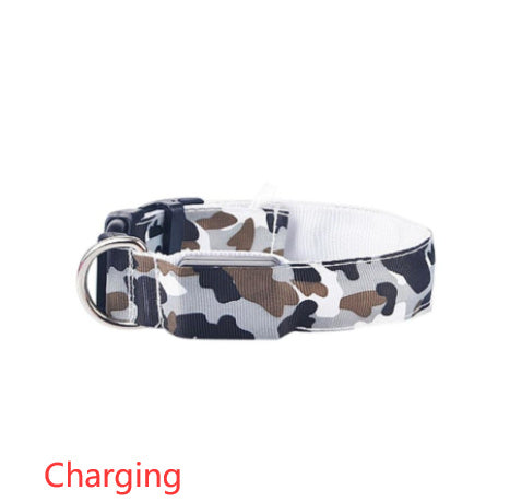 Luminous Pet Collar